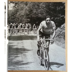 Philippe Brunel - Merckx intime