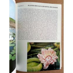 Bohdan Křísa - Encyclopédie des plantes à fleurs