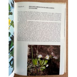 Bohdan Křísa - Encyclopédie des plantes à fleurs
