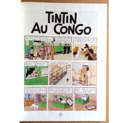 Hergé - Les aventures de Tintin : Tintin au Congo