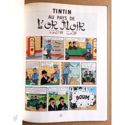 Hergé - Les aventures de Tintin : Tintin au pays de l'or noir