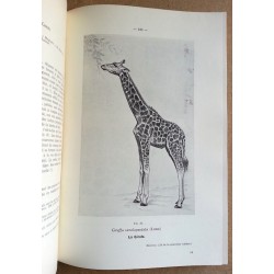 Serge Frechkop - Animaux protégés au Congo Belge et dans le territoire sous mandat du Ruanda-Urundi