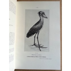 Serge Frechkop - Animaux protégés au Congo Belge et dans le territoire sous mandat du Ruanda-Urundi