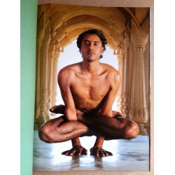 Michael O'Neill - À propos du Yoga : L'Architecture de la paix