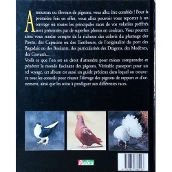 Pierre Corcelle - Les pigeons : Races, soins, élevage