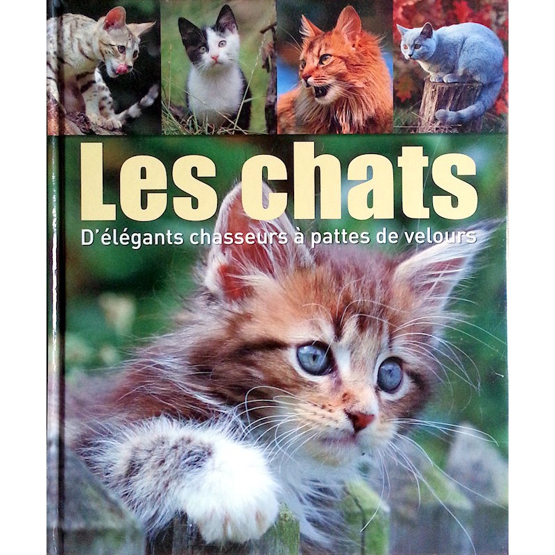 Collectif - Les chats : D'élégants chasseurs à pattes de velours