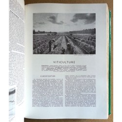 Raymond Braconnier, Jacques Glandard - Larousse agricole : Viticulture