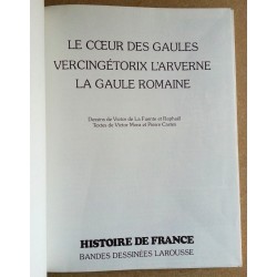 Collectif - Histoire de France en bandes dessinées, Tome 1 : De Vercingétorix aux Vikings