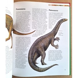 Collectif - Les dinosaures : Découvertes - Espèces - Disparition