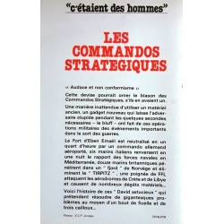 Henri Le Mire - Les commandos stratégiques