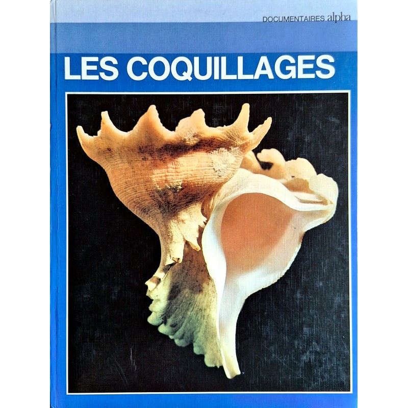 Sergio Angeletti - Les coquillages