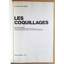 Sergio Angeletti - Les coquillages