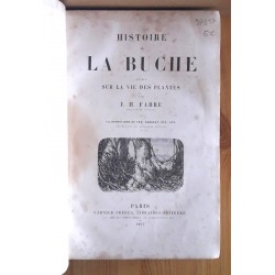 J.H. Fabre - Histoire de la buche : Récits sur la vie des plantes