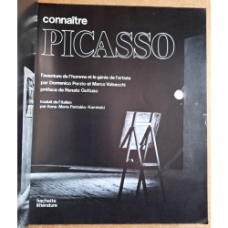 Domenico Porzio & Marco Valsecchi - Connaître Picasso