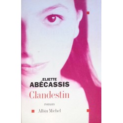 Eliette Abécassis - Clandestin