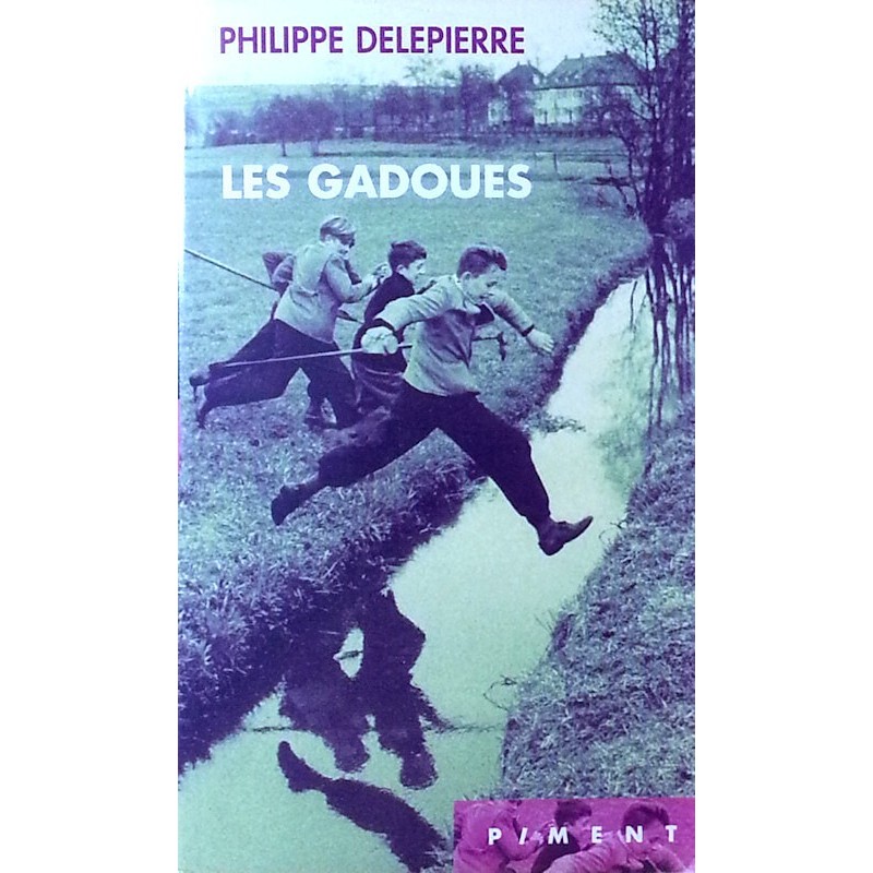 Philippe Delepierre - Les gadoues